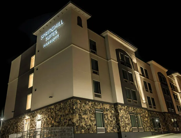 SpringHill Suites by Marriott Dallas Rockwall hotel detail image 1