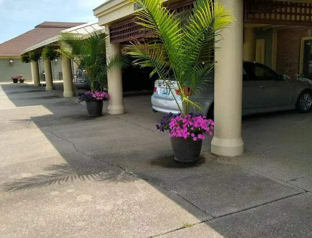 Southern Comfort Suites hotel detail image 1