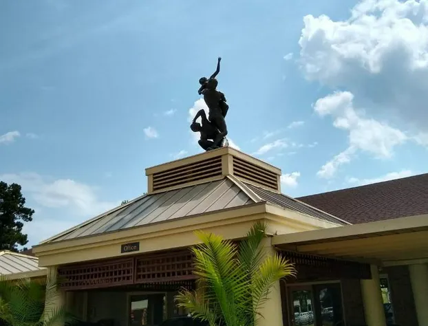 Southern Comfort Suites hotel detail image 2