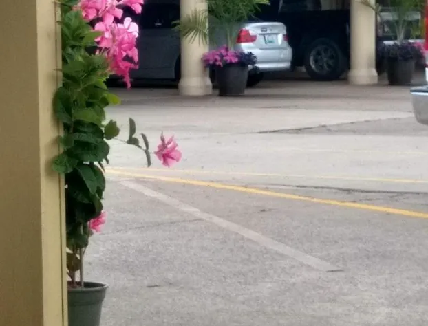 Southern Comfort Suites hotel detail image 4