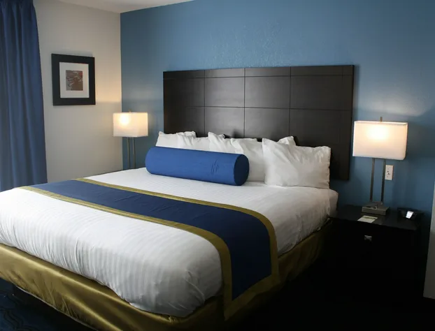 Holiday Inn Express St. Louis Arpt - Maryland Hgts hotel detail image 3