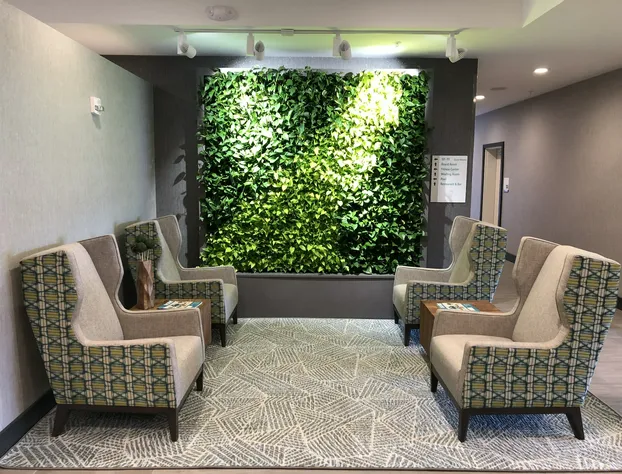 Holiday Inn & Suites Decatur-Forsyth by IHG hotel detail image 3