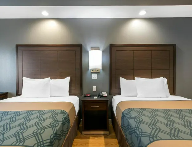 Econo Lodge Inn & Suites Houston Willowbrook hotel detail image 4