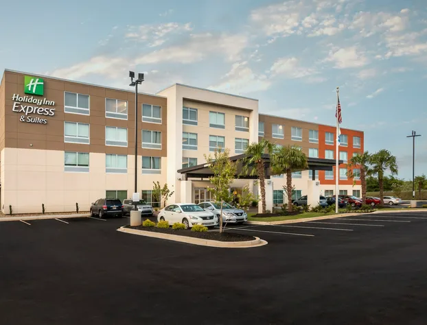 Holiday Inn Express & Suites Greenville S- Piedmont by IHG hotel detail image 1