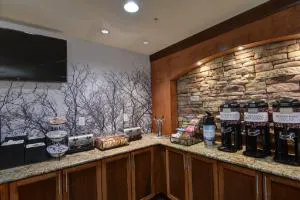 Staybridge Suites Lakeland West By IHG hotel detail image 3