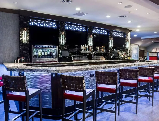 Holiday Inn Coralville Iowa City by IHG hotel detail image 1