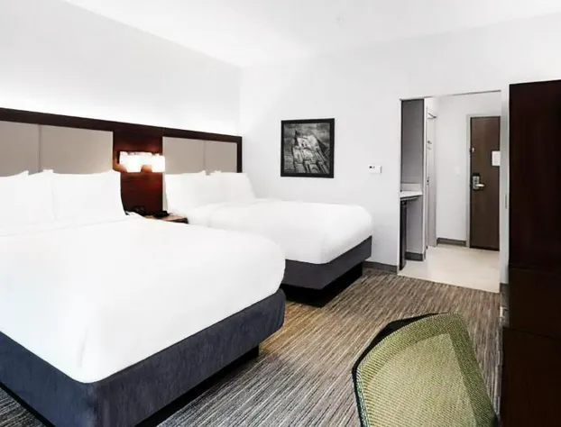 Holiday Inn Express & Suites Chalmette - New Orleans S by IHG hotel detail image 3