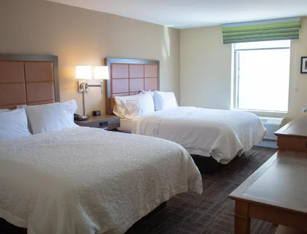 Hampton Inn Big Rapids hotel detail image 3