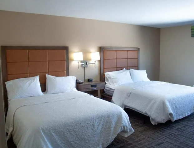 Hampton Inn Big Rapids hotel detail image 4