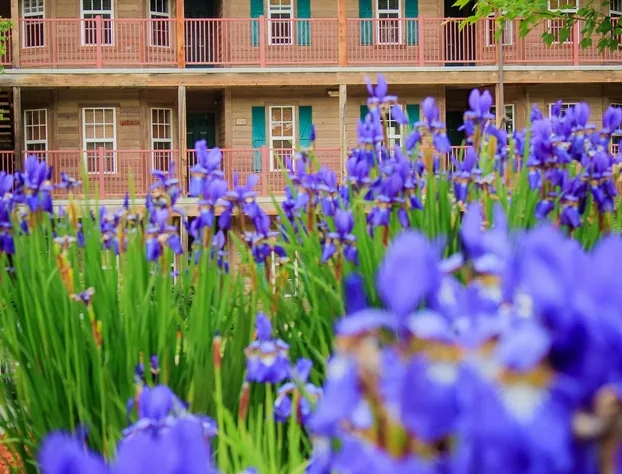 Holiday Inn Club Vacations Oak n’ Spruce Resort in the Berkshires by IHG hotel detail image 2