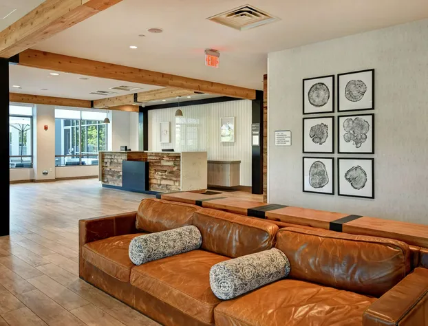 Hilton Garden Inn Jackson hotel detail image 4