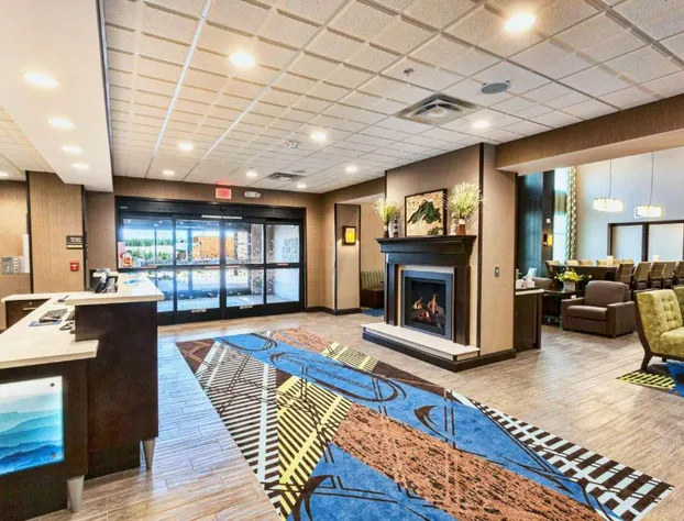 Hampton Inn & Suites Duluth North/Mall Area hotel detail image 2