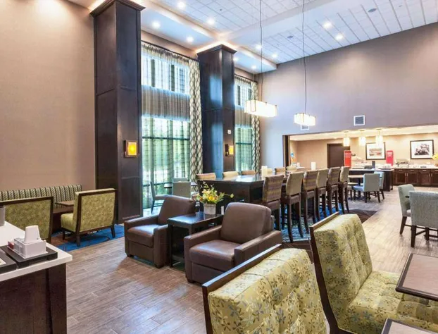 Hampton Inn & Suites Duluth North/Mall Area hotel detail image 4