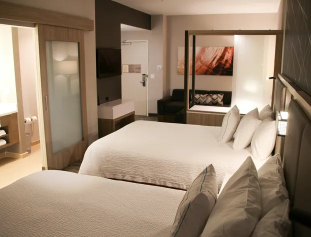 SpringHill Suites Baltimore White Marsh/Middle River hotel detail image 4