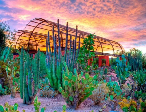 Holiday Inn Express & Suites Phoenix - Airport North by IHG hotel detail image 4