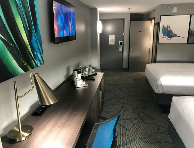 Radisson Hotel McAllen Airport hotel detail image 4