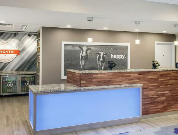 Hampton Inn & Suites Rocky Hill - Hartford South hotel detail image 3