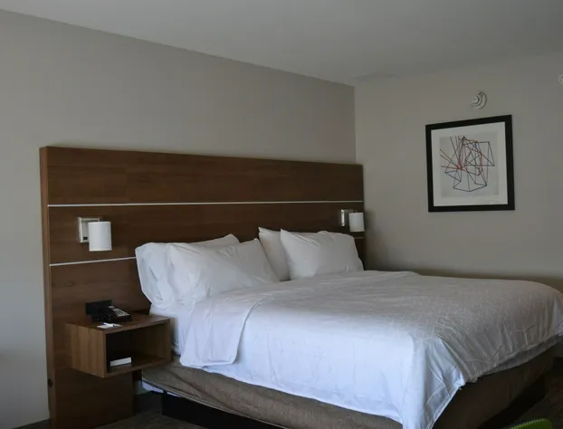 Holiday Inn Express & Suites Goodlettsville N - Nashville by IHG hotel detail image 2