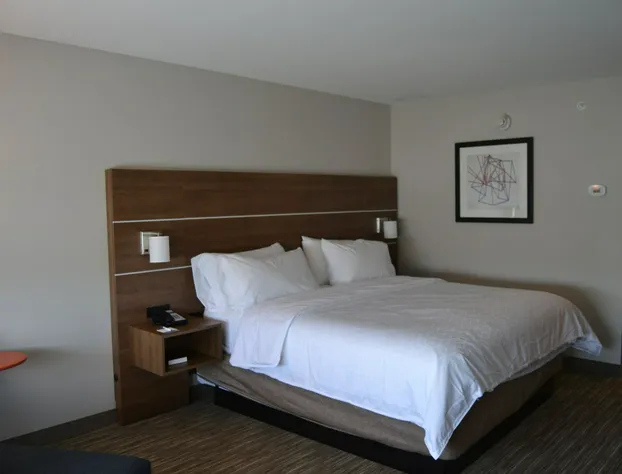 Holiday Inn Express & Suites Goodlettsville N - Nashville by IHG hotel detail image 3