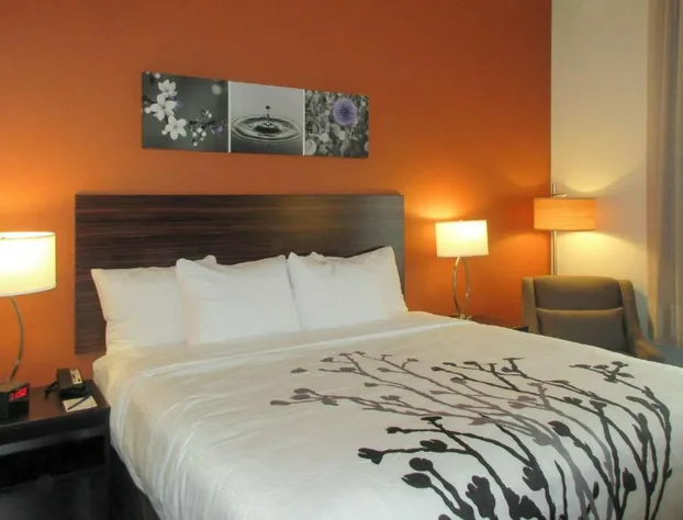 Sleep Inn & Suites Oregon - Madison hotel detail image 3