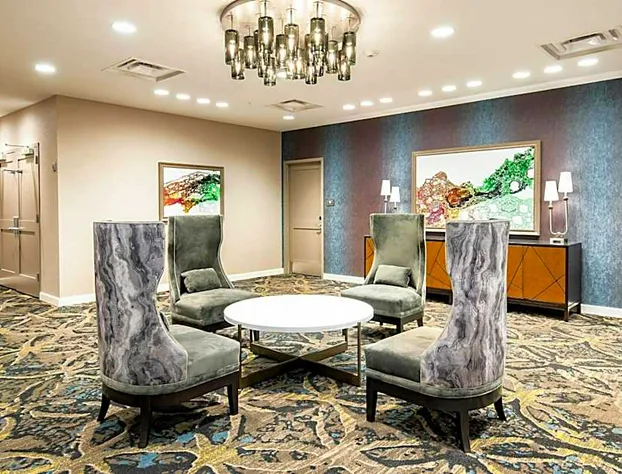 Residence Inn by Marriott Houston Medical Center/NRG Park hotel detail image 2