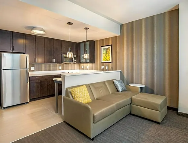 Residence Inn by Marriott Houston Medical Center/NRG Park hotel detail image 4