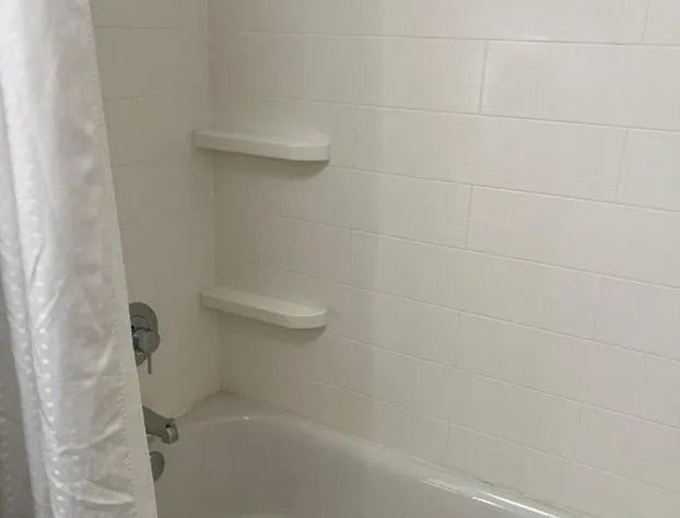 Holiday Inn Express & Suites Mobile - University Area by IHG hotel detail image 3