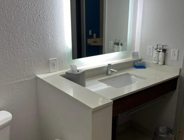 Holiday Inn Express & Suites Mobile - University Area by IHG hotel detail image 4