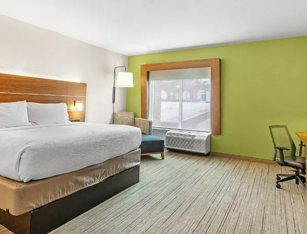 Holiday Inn Express & Suites Mobile - University Area by IHG hotel detail image 4