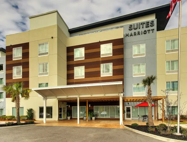 TownePlace Suites by Marriott Mobile Saraland hotel detail image 2