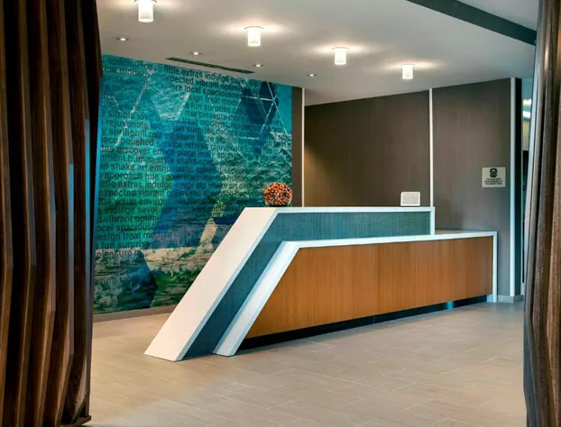 SpringHill Suites by Marriott Tampa Suncoast Parkway hotel detail image 1