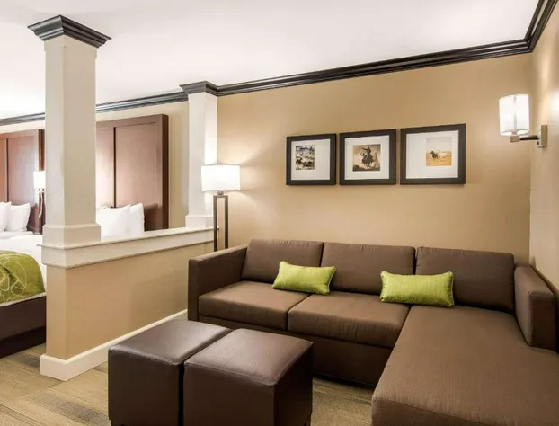 Comfort Suites Liberal North hotel detail image 4