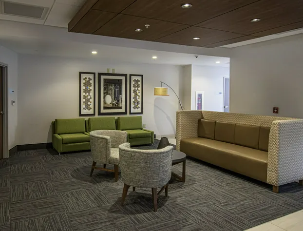 Holiday Inn Express & Suites Tonawanda - Buffalo Area by IHG hotel detail image 2