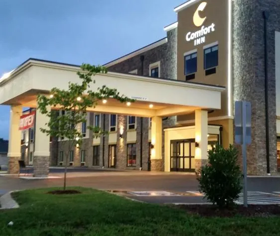 Comfort Inn White House hotel detail image 2