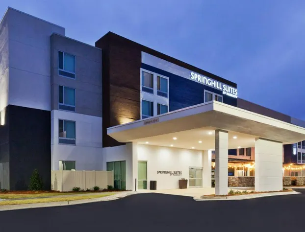 SpringHill Suites by Marriott Montgomery Prattville/Millbrook hotel detail image 1
