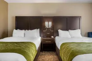 Comfort Inn & Suites Cedar Rapids CID Eastern Iowa Airport hotel detail image 2