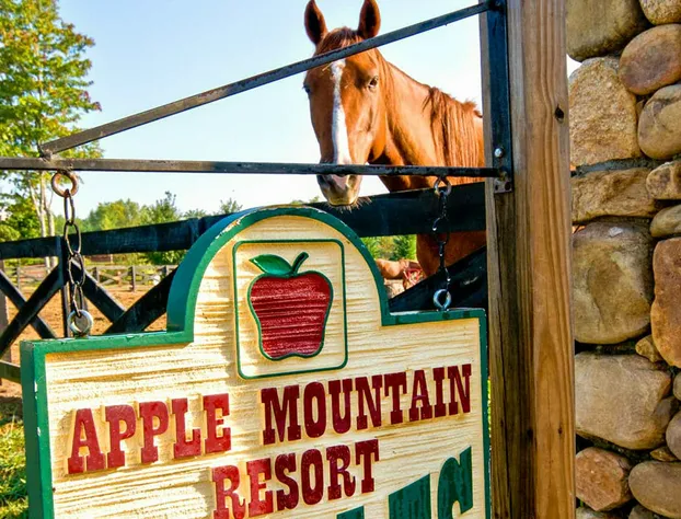 Holiday Inn Club Vacations Apple Mountain Resort at Clarkesville by IHG hotel detail image 2