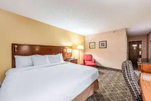 Quality Inn & Suites Brainerd hotel detail image 2