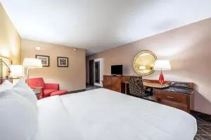 Quality Inn & Suites Brainerd hotel detail image 4