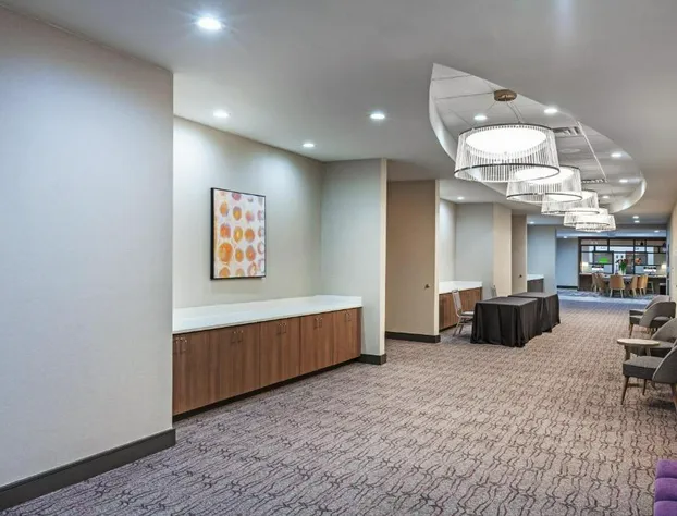 Holiday Inn Lubbock South by IHG hotel detail image 3