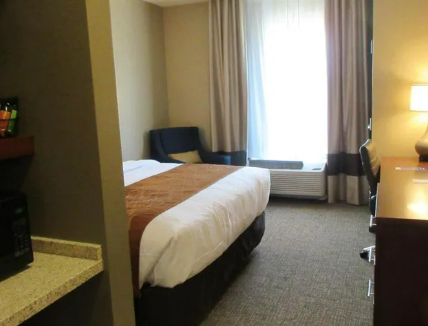 Comfort Inn & Suites Boise Airport hotel detail image 4