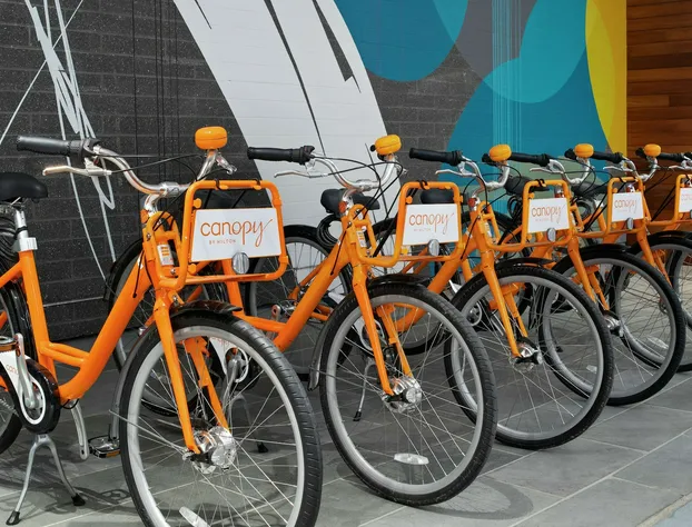 Canopy by Hilton Atlanta Midtown hotel detail image 4