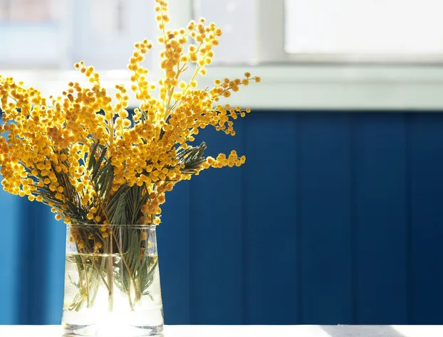 voco St. Augustine Historic Area by IHG hotel detail image 4