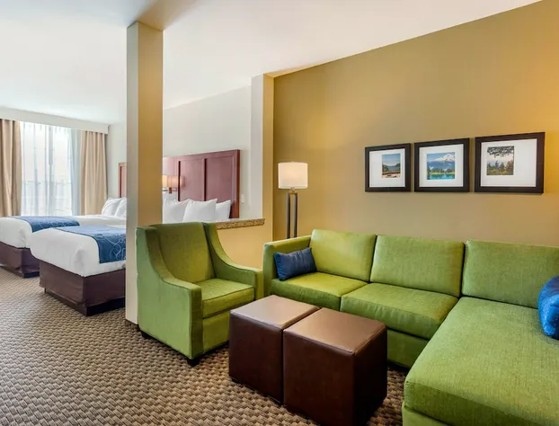 Comfort Suites Burlington near I-5 hotel detail image 2