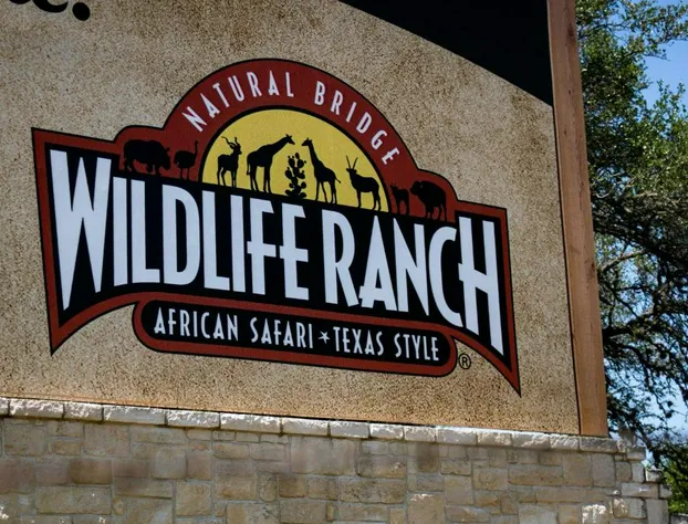 Staybridge Suites San Antonio - Schertz by IHG hotel detail image 3