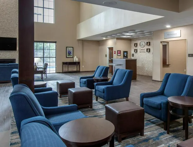 Comfort Suites - South Austin hotel detail image 3