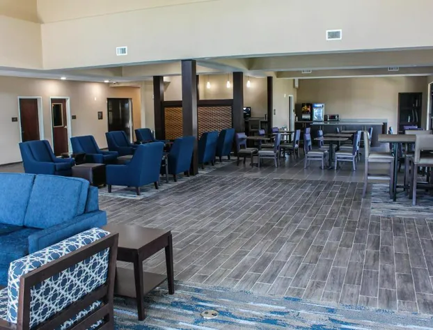Comfort Suites - South Austin hotel detail image 2