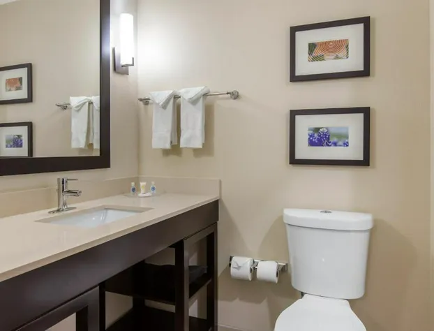 Comfort Suites - South Austin hotel detail image 3