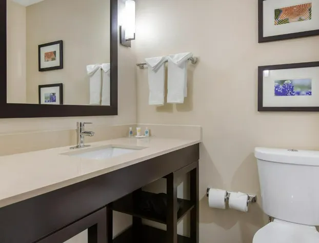 Comfort Suites - South Austin hotel detail image 4