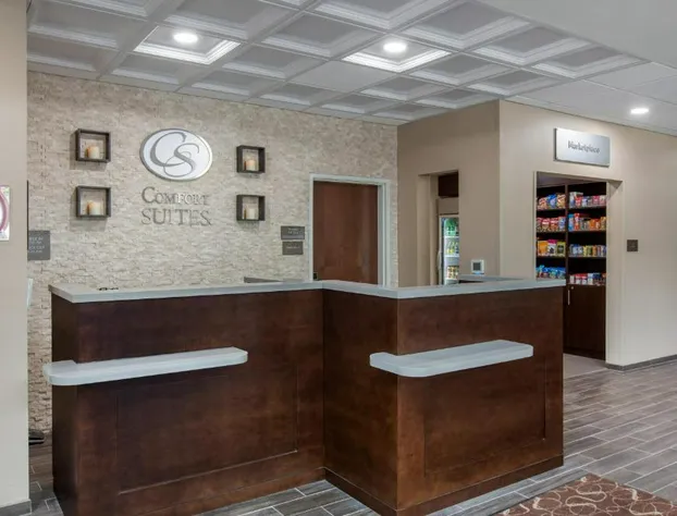 Comfort Suites - South Austin hotel detail image 2